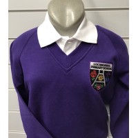 Lochnorris  Primary School V Neck Sweatshirt