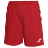 Joma Liga Short