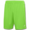 Joma Nobel Shorts